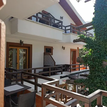 Hotel Sofo 4*